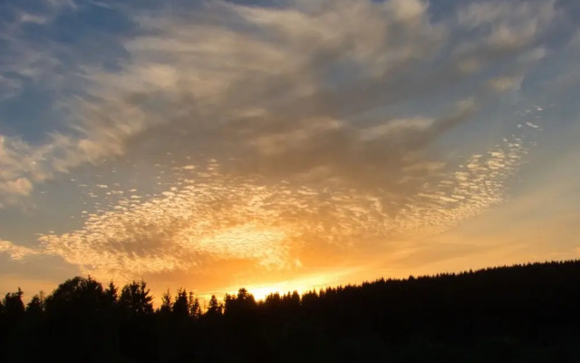 Doppelhaushaelfte in Hasselfelde