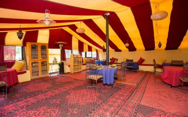 Ecolodge - La Palmeraie