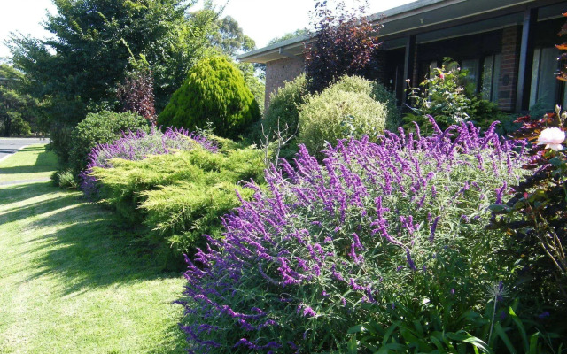 Boomers Guest House Hamilton