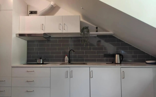 Cosy Apartments in Vilnius Center