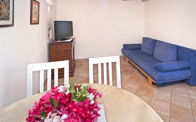 Hibiskus Tadini in Tadini