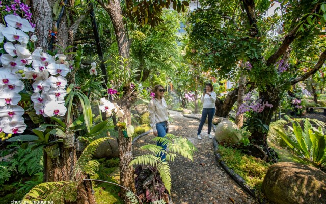 Royal Train Garden Resort