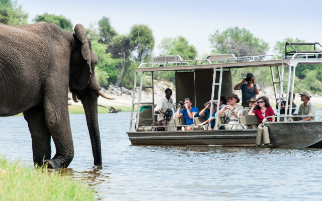 Zambezi Queen by Mantis