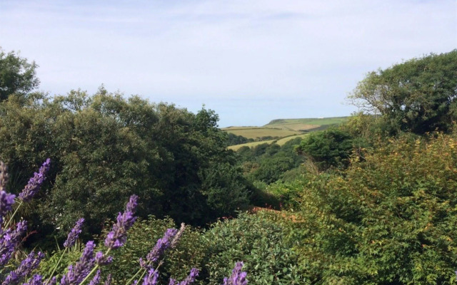 Boscastle House