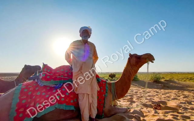 Desert Dream Royal Camp