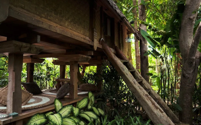 Roots Tree House