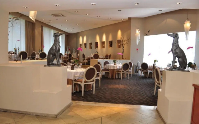 Royal Pedregal Hotel