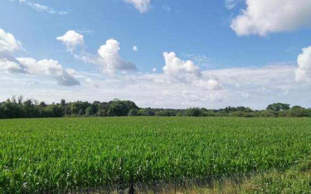 1 pied à la campagne, l'autre en ville T3 - 60m²