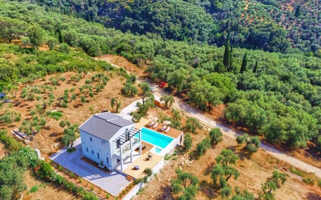 Olivista in Platonas