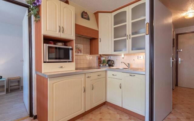 Appartement Saint-Lary-Soulan, 2 pièces, 4 personnes - FR-1-296-307