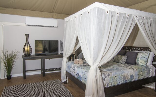 Dubbo Rhino Lodge