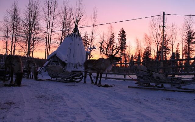 Levi Northern Lights Huts