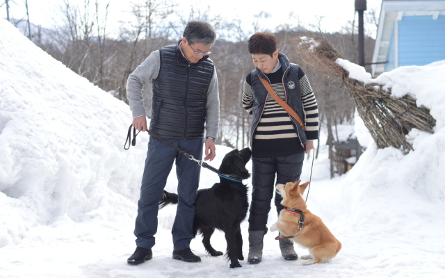 Dog-Friendly Inn Hakuba Pension Alyeska