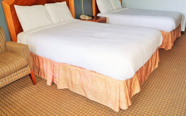Hotel elev8