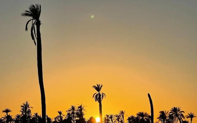 Palmeraie  Appartment With Marrakech