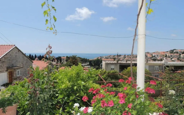 Guest House Luce