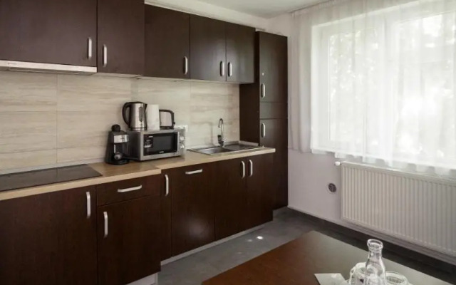 Apartament Family Rivulus 9