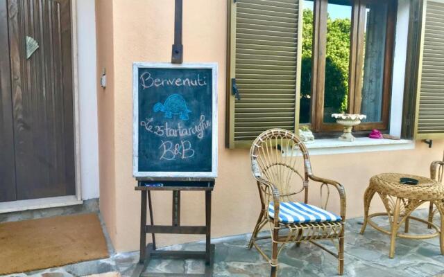 Le 25 Tartarughe