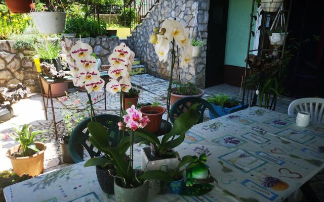 Apartment Babi Artatore