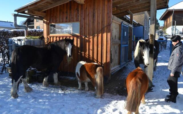 Ferien Bei Freunden Im Holzhaus