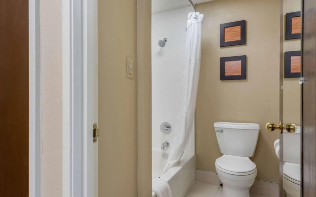 Comfort Inn South