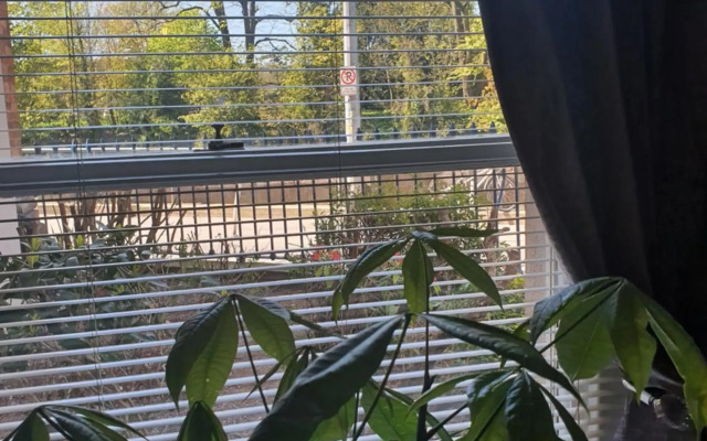 River View Apartment Suite