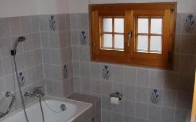 Mayen de l'Ours MOUNTAIN & CENTER apartments