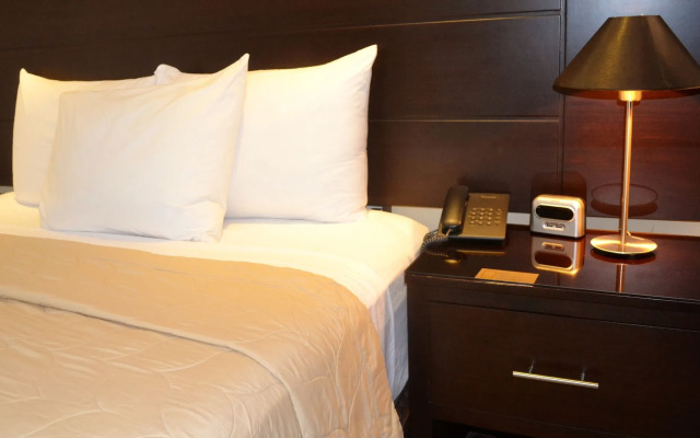 Hotel Villa Florencia Zona Rosa