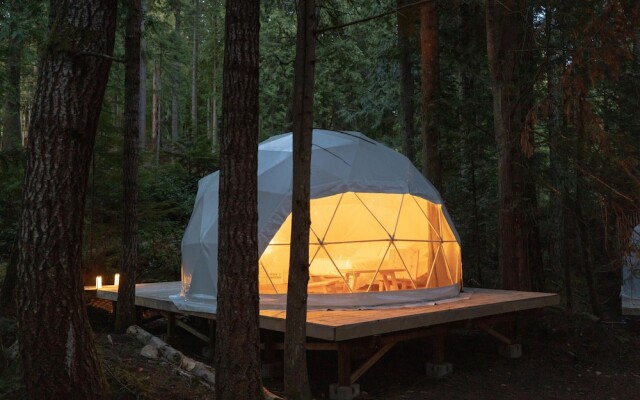 Stay Wilder - Adults Only