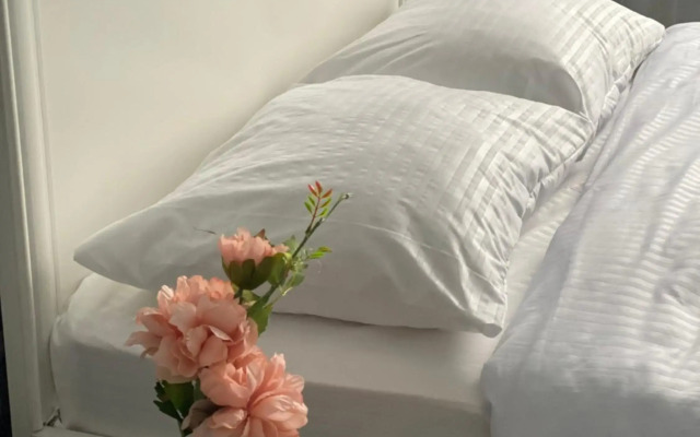 Уютные апартаменты Миллениум Парк