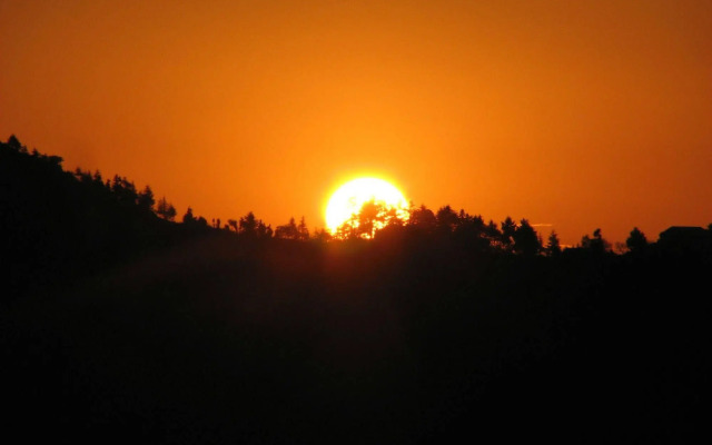 Whispering Pines Himalayan Retreat