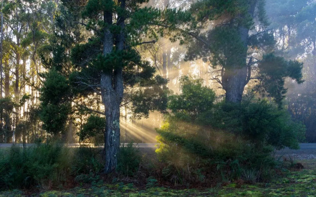 Adventure Bay Holiday Home