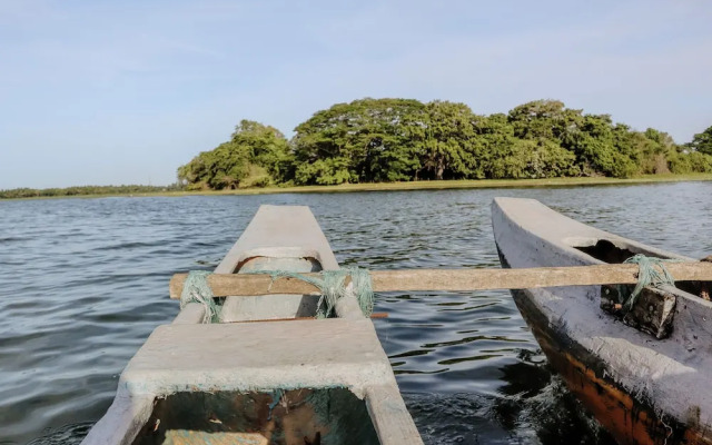 Saffron Lake Yala
