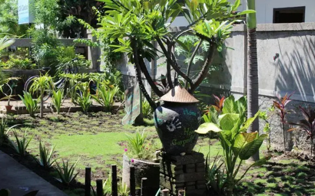 Gili Gecko