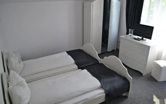 Pensiunea Contesa 3*