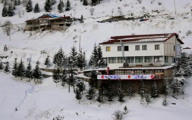 Snow Patrol Lodge