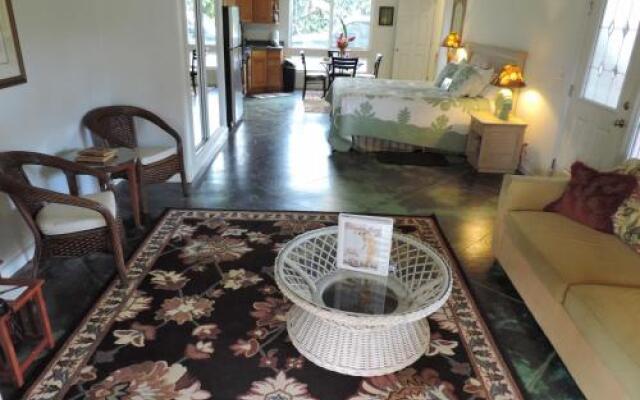 Hale Pua Villa - Hibiscus Suite