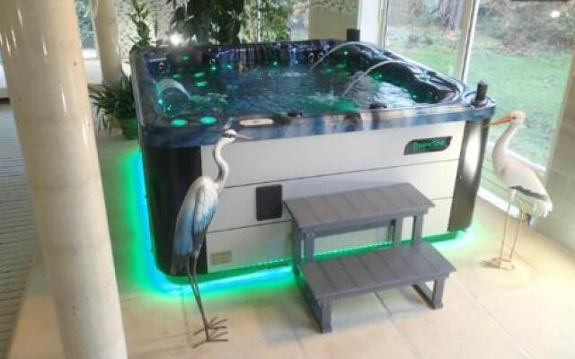 Au Charme du Lac Piscine & Spa 2