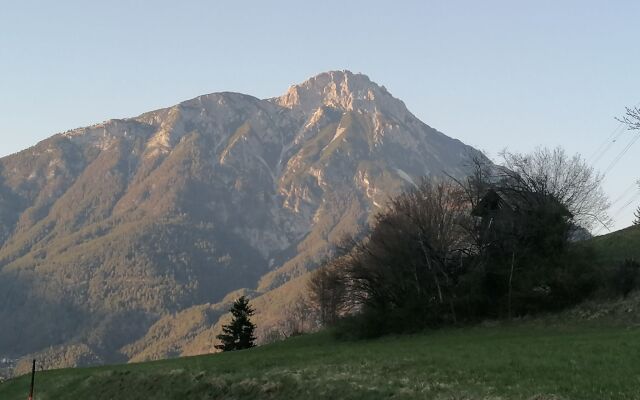 Wiese