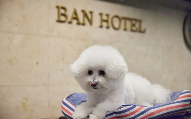 Ban Hotel Tsukiji Ginza