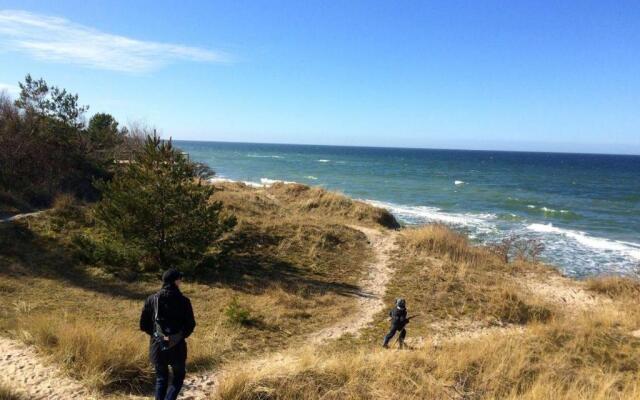 Ferienhaus-Sonnenblume