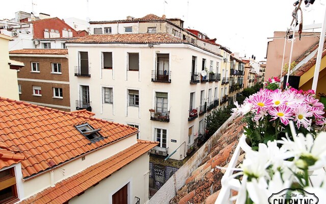 Charming Oasis in the Centre of Madrid