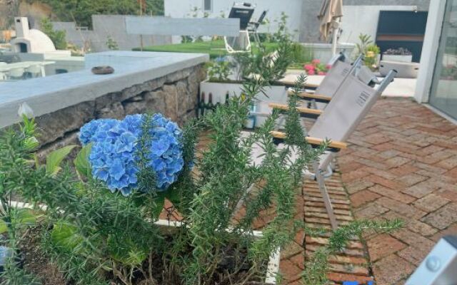 He Ji. Stone Pond Perfection B&B
