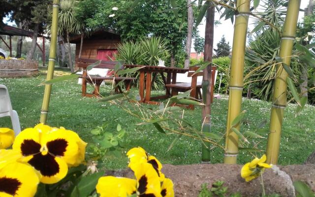 Pier delle Vigne B&B