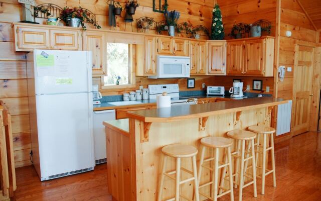 MOUNTAINTOP EXPERIENCE - 4 Br Cabin