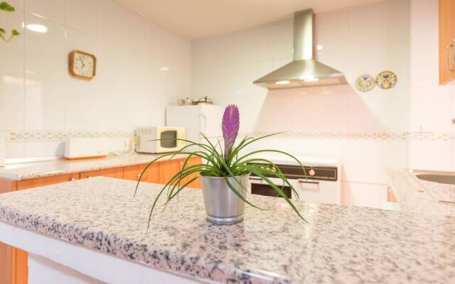 Monserrat City Center