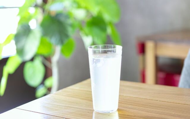 Saito syukuba - Hostel