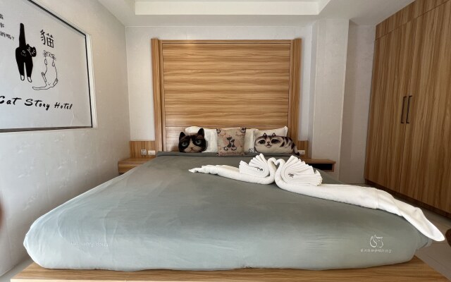Cat Story Hotel