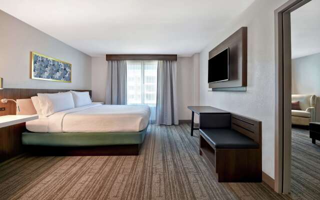 Hilton Garden Inn Houston/Galleria Area