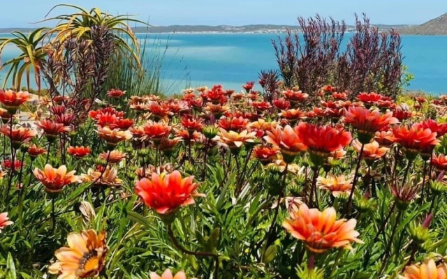 The Shark Bay Boutique Hotel & Spa